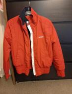 Vestes Tommy hilfiger taille 36 nouveau, Zo goed als nieuw