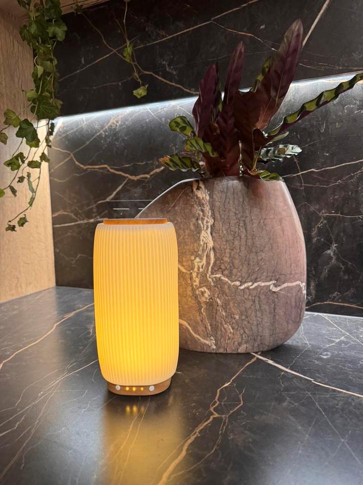 Diffuseur ceramique et bambou JAZZ by Pranarôm new!, Maison & Meubles, Accessoires pour la Maison | Vases, Neuf, Blanc, 50 à 75 cm