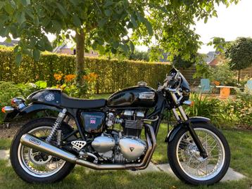 Triumph Thruxton 900 Youngtimer beschikbaar voor biedingen
