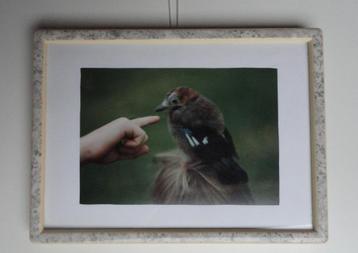 foto kader (lengte: 18cm breedte: 14cm) beschikbaar voor biedingen