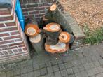 Boomstammen, Tuin en Terras, Brandhout, Ophalen