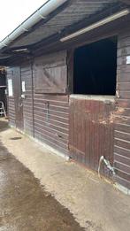 3 paarden stalen te huur op een kleine Privé stalling, Pâturage, 4 chevaux ou poneys ou plus