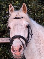 Super brave lieve pony, Merrie