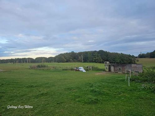 Pension prairie, Dieren en Toebehoren, Stalling en Weidegang, Weidegang, 4 paarden of pony's of meer