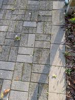 grijze betonklinkers 11x22x6cm, Tuin en Terras, Tegels en Klinkers, Ophalen, Gebruikt, Klinkers, 10 m² of meer
