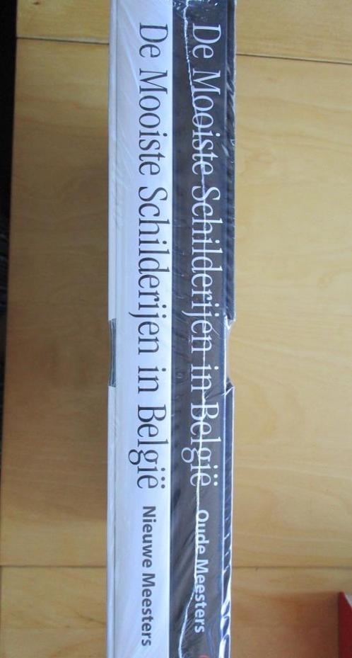 de mooiste schilderijen in belgie, Boeken, Kunst en Cultuur | Beeldend, Nieuw, Schilder- en Tekenkunst, Ophalen of Verzenden