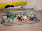 Cage lapin et accessoires, Ophalen, Gebruikt, Kooi, Hamster