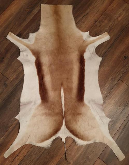 Grote springbok vacht 125x70 cm. Kleed Africa Wild, Verzamelen, Dierenverzamelingen, Zo goed als nieuw, Overige typen, Wild dier