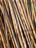 Bamboe stokken uit eigen tuin. 1,80m lang, Tuin en Terras, Gebruikt, Bamboe, Ophalen