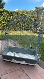 Vogelkooi, Dieren en Toebehoren, Vogels | Hokken en Kooien, Ophalen, Zo goed als nieuw, Vogelkooi