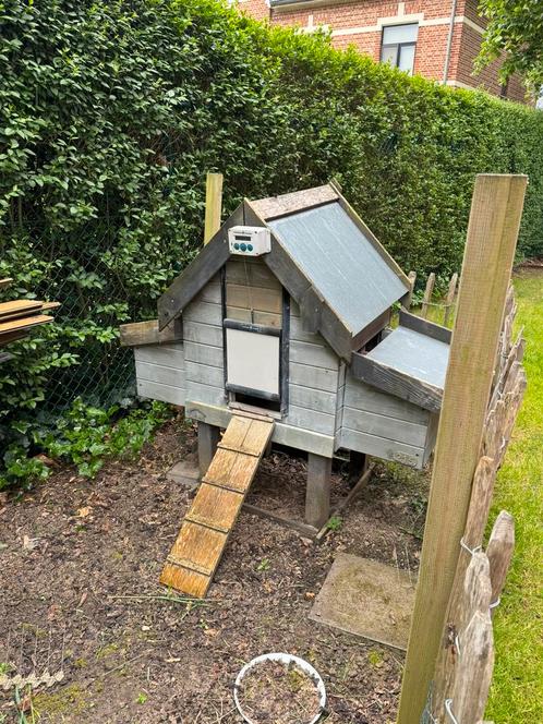 Kippenhok met automatisch sluitingsdeur, Dieren en Toebehoren, Pluimvee | Toebehoren, Gebruikt, Kippenhok of Kippenren, Ophalen