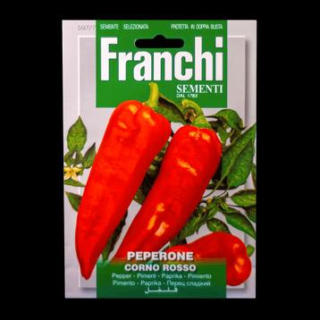 Rode Punt Paprika Plant | Laatste stuk beschikbaar voor biedingen