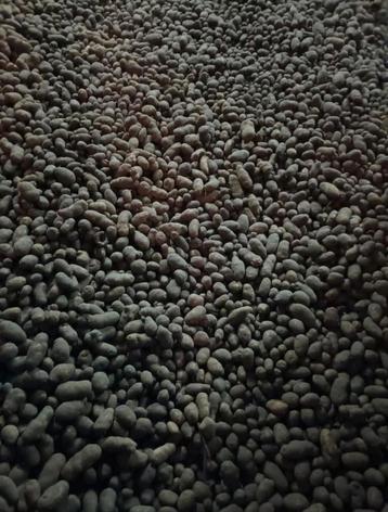 Aardappelen voor veevoeder, Enlèvement ou Envoi