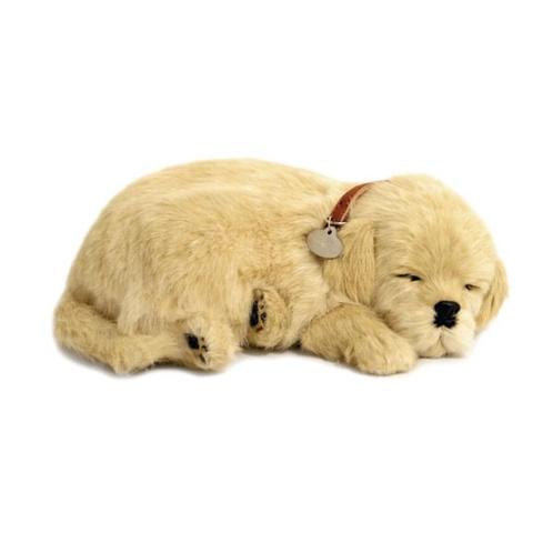 Perfect petzzz golden retriever pup ademt 'echt', Enfants & Bébés, Jouets | Peluches, Neuf, Chien, Enlèvement ou Envoi