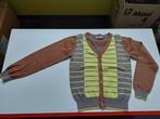 Gilet Van Hassels mt 128/8 jaar, Kinderen en Baby's, Kinderkleding | Maat 128, Jongen, VAN HASSELS., Trui of Vest, Gebruikt