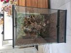 Terrarium 60/45/90, Dieren en Toebehoren, Ophalen, Zo goed als nieuw