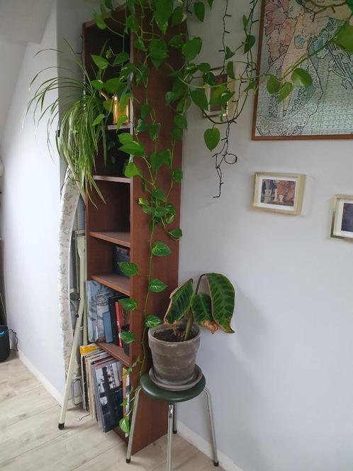 Boekenkast Billy Ikea, Huis en Inrichting, Kasten | Boekenkasten, Zo goed als nieuw, Minder dan 50 cm, 200 cm of meer, 25 tot 50 cm