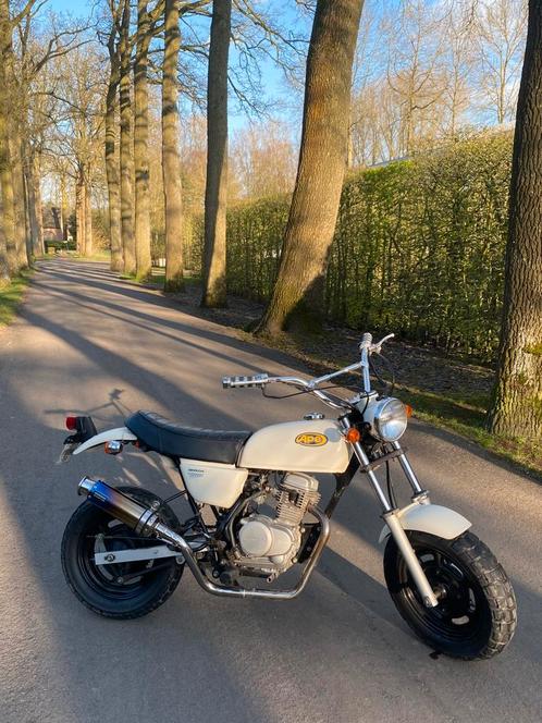 Originele honda ape 50 **Collectors Item** Japan’s inport, Fietsen en Brommers, Brommers | Honda, Zo goed als nieuw, Overige modellen