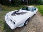 Pontiac Trans Am 1979, Autos, Pontiac, Automatique, Achat, Firebird, Particulier