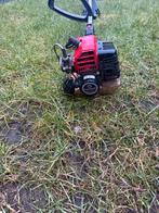 Bosmaaier kaas, Ophalen, Zo goed als nieuw