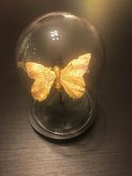 Goudkleurige opgezette vlinder onder Stolp, Verzamelen, Ophalen, Zo goed als nieuw, Insect, Beeldje of Figuurtje
