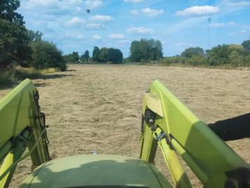 Kleine pakken hooi te koop  beschikbaar voor biedingen