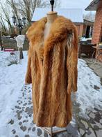 Manteau en Renard, Enlèvement