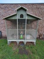 Voliere met vogeltjes en diamant duifjes, Dieren en Toebehoren, Ophalen, Gebruikt, Metaal, Volière