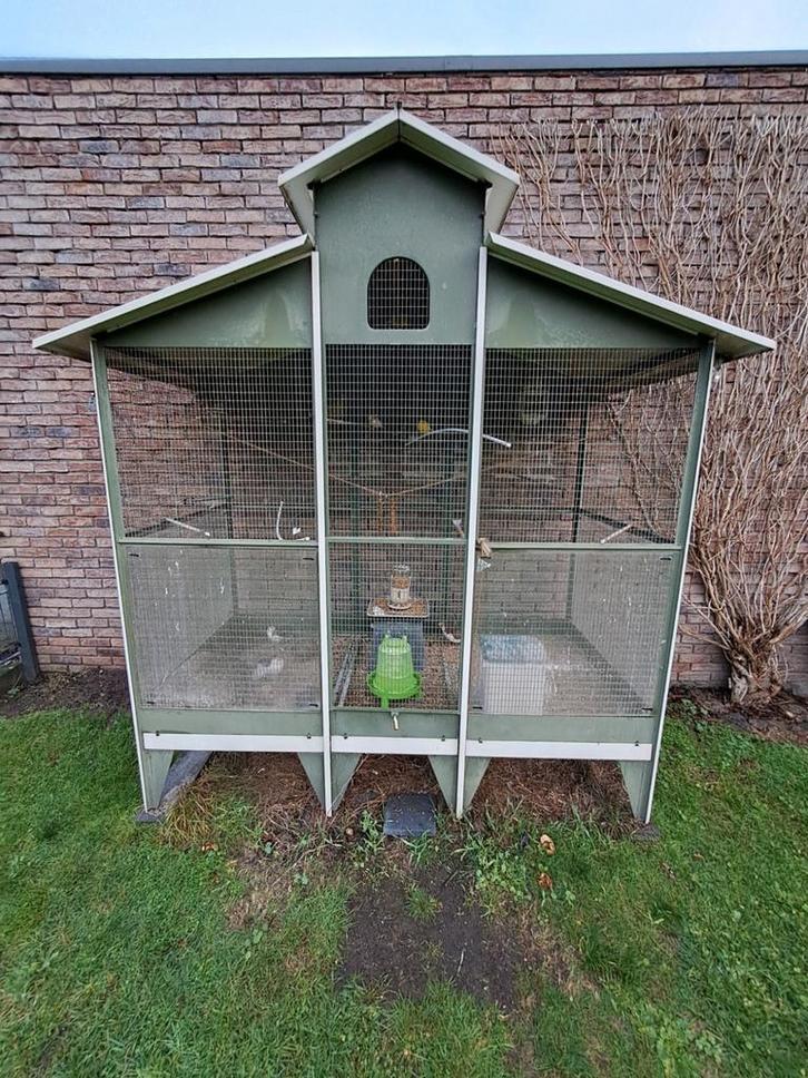 Voliere met vogeltjes en diamant duifjes, Dieren en Toebehoren, Vogels | Hokken en Kooien, Gebruikt, Volière, Metaal, Ophalen