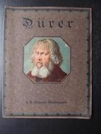 Dürer, Boeken, Kunst en Cultuur | Beeldend, Ophalen of Verzenden, Zo goed als nieuw, Schilder- en Tekenkunst