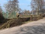 Gratis Wilgentakken, Tuin en Terras, Ophalen