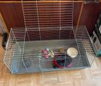 Konijnenhok volledig met alle toebehoren, eten en speeltjes, Ophalen, Zo goed als nieuw, Hok, Cavia