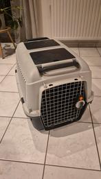 Bracco 4 cage de transport pour chien, Enlèvement, Utilisé