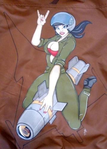 Militaria - Veste aviateur type bomber - RAFALE, Envoi