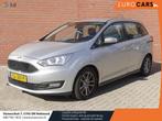 Ford Grand C-Max 1.0 Trend Navigatie Airco Parkeersensoren B, Argent ou Gris, Achat, Entreprise, Boîte manuelle