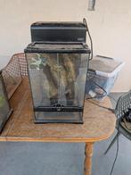 Teraiums, Ophalen, Gebruikt, Terrarium of Paludarium