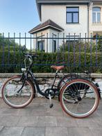 Papillon Tri - Bike driewieler met elektrische ondersteuning, Fietsen en Brommers, Nieuw