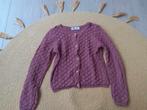 Vestje H&M maat 110/116, Kinderen en Baby's, Kinderkleding | Maat 110, Gebruikt, Meisje, Trui of Vest, H&M
