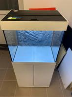 Juwel aquarium 120l, Dieren en Toebehoren, Ophalen, Gebruikt
