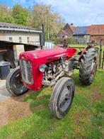 Massey ferguson 35 TVO, Zakelijke goederen, Landbouw | Tractoren, Ophalen, Massey Ferguson