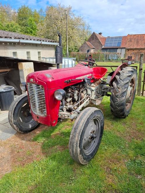 Massey ferguson 35 TVO, Zakelijke goederen, Landbouw | Tractoren, Massey Ferguson, Ophalen