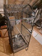 Cage pour perroquets, Utilisé, Enlèvement ou Envoi