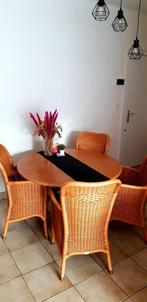 Rotan tafel met 4 stoelen, Huis en Inrichting, Ophalen, Zo goed als nieuw