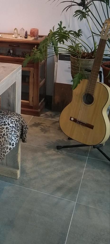 Akoestische gitaar pro natura, Muziek en Instrumenten, Snaarinstrumenten | Gitaren | Akoestisch, Zo goed als nieuw, Ophalen of Verzenden