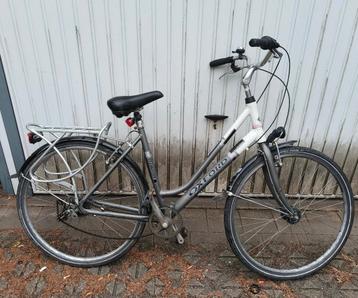 oxford  beschikbaar voor biedingen