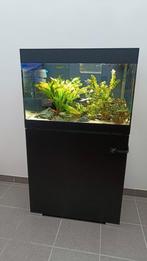 Compleet aquarium 120L met meubel, Dieren en Toebehoren, Vissen | Aquaria en Toebehoren, Ophalen, Zo goed als nieuw