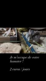 Je m’occupe de votre hamster lors de vos absences., Dieren en Toebehoren, Knaagdieren en Konijnen | Toebehoren, Ophalen of Verzenden