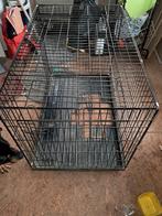 Cage pour chien 1228276