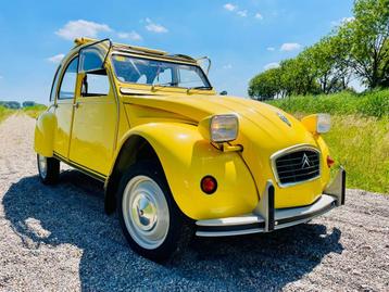 2cv6 CT  Jaune mimosa 08-1980 82.995 km