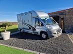 camionette voor 2 paarden, Auto's, Vrachtwagens, Te koop, Particulier